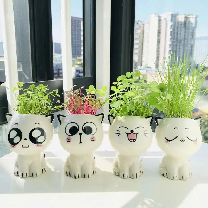 Cute Ceramic Cat Flowerpot: Perfect Desktop Decor & School Gift