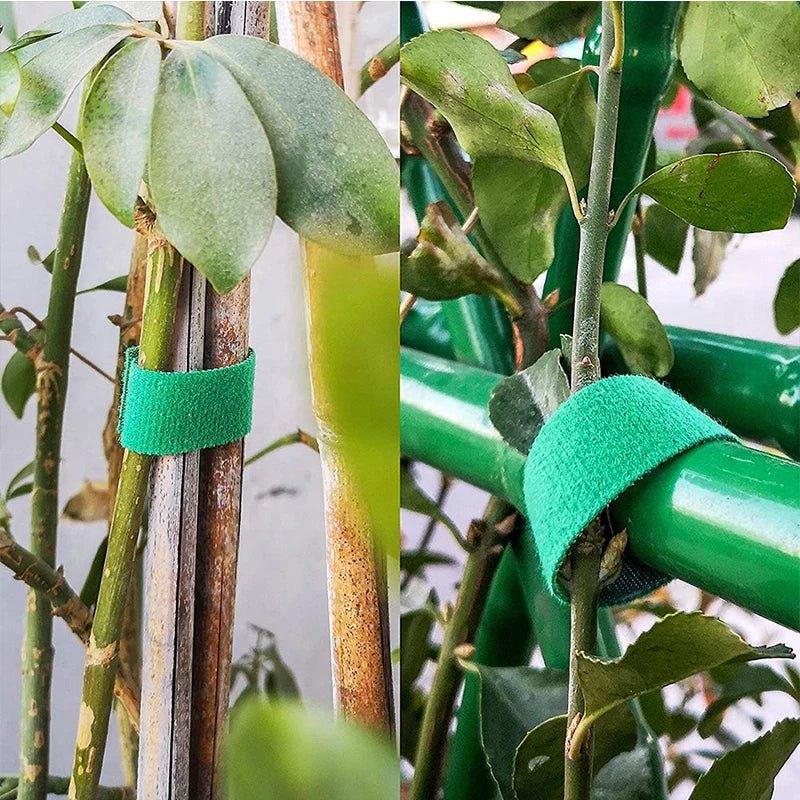 Green Garden Twine: Nylon Plant Ties for Bamboo Cane Support