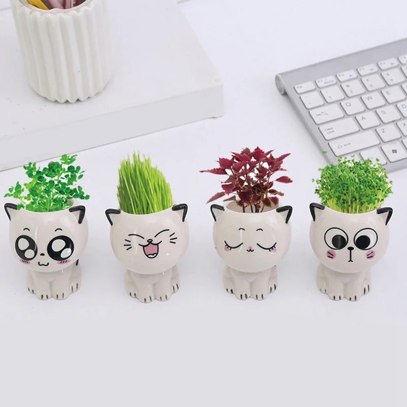 Cute Ceramic Cat Flowerpot: Perfect Desktop Decor & School Gift