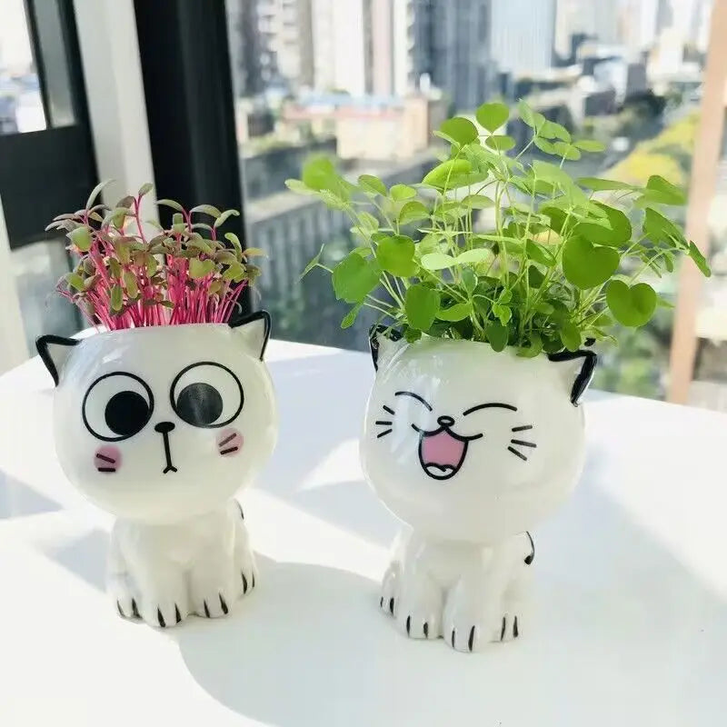 Cute Ceramic Cat Flowerpot: Perfect Desktop Decor & School Gift