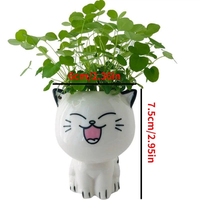 Cute Ceramic Cat Flowerpot: Perfect Desktop Decor & School Gift