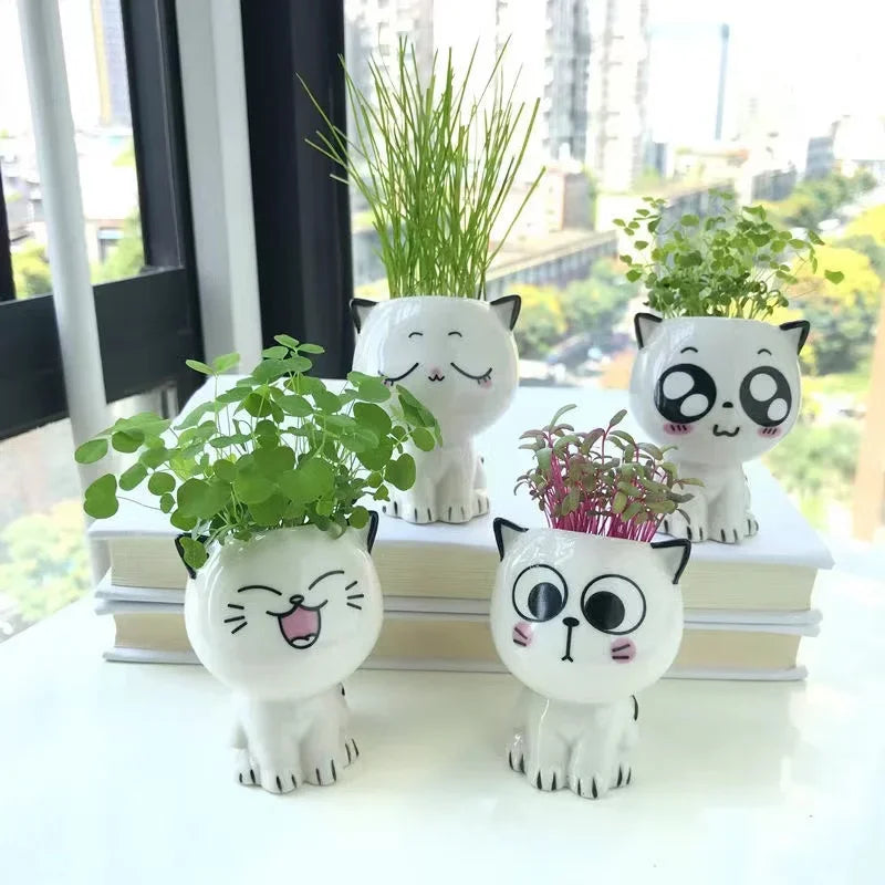 Cute Ceramic Cat Flowerpot: Perfect Desktop Decor & School Gift